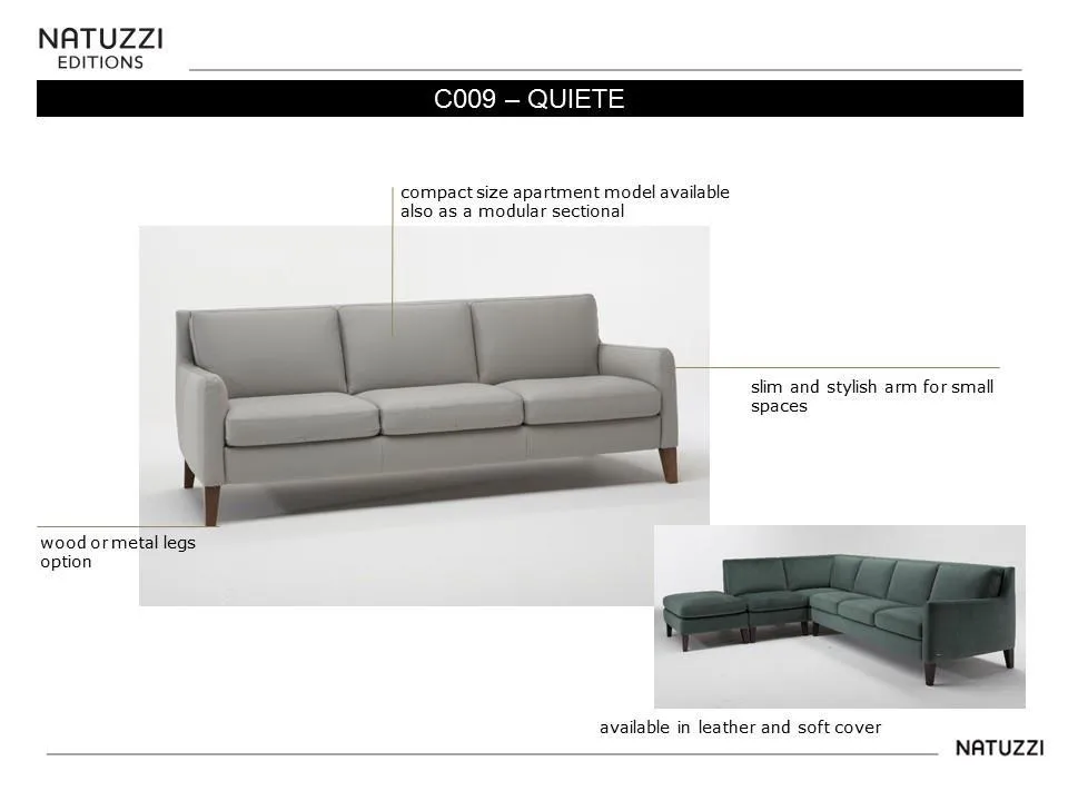 Quiete C009 Sofa (76" or 86") +40 fabrics 9 Quiete C009 Sofa (76" or 86") +40 fabrics