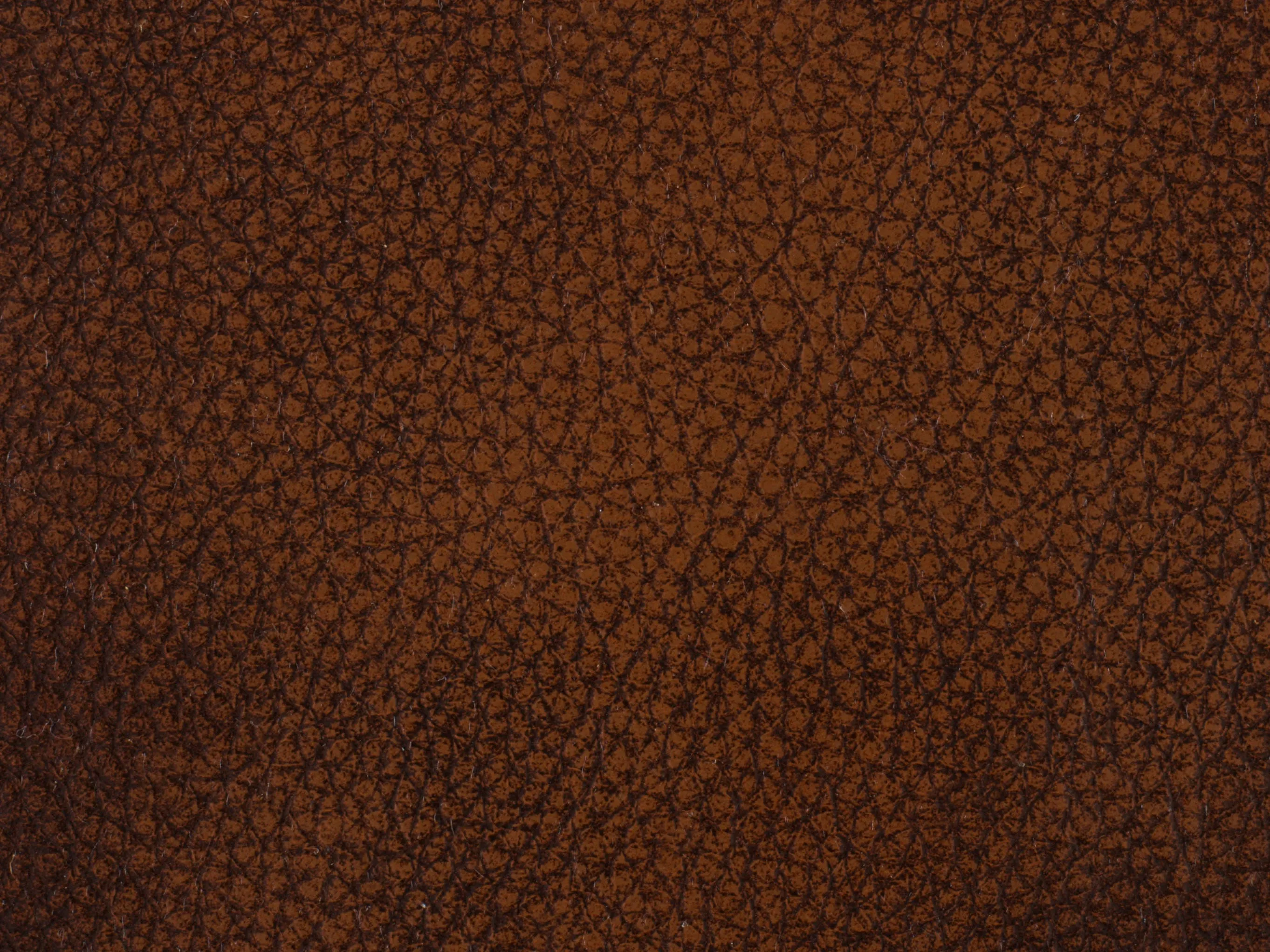 Montgomery Stationary Leather Sofa (83") In stock 4 Montgomery Stationary Leather Sofa (83") In stock