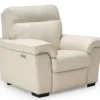 Alaska 41070 Power Headrest Power Wallhugger Recliner (+100 leathers)