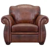 Arizona All Leather Chair 23 Arizona All Leather Chair