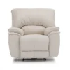 Dallin Loveseat Recliner