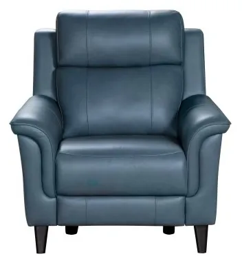 Kester Leather Power Headrest Power Recliner (Mint) In stock 4 Kester Leather Power Headrest Power Recliner (Mint) In stock