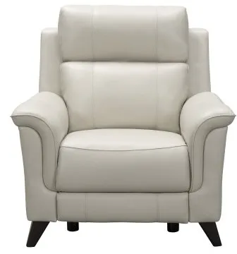 Kester Leather Power Headrest Power Recliner (Mint) In stock 5 Kester Leather Power Headrest Power Recliner (Mint) In stock