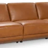 Carter C314 Sectional (+50 leathers)